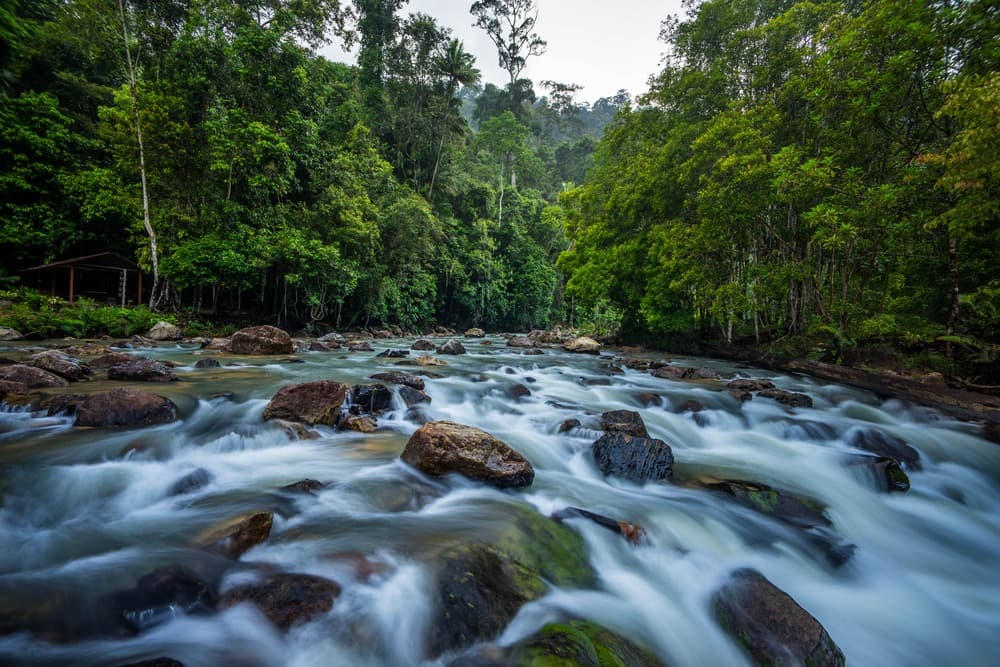 Parque Nacional de Endau